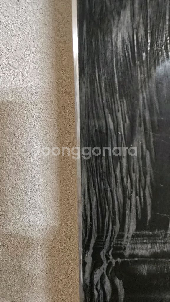 2425 케슬러 양산 156(여성용)--4