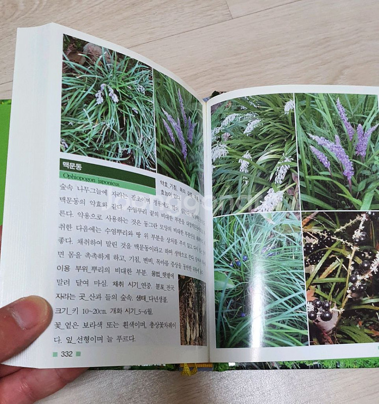 한국의 텃밭.한국의 약초 정가4만--7