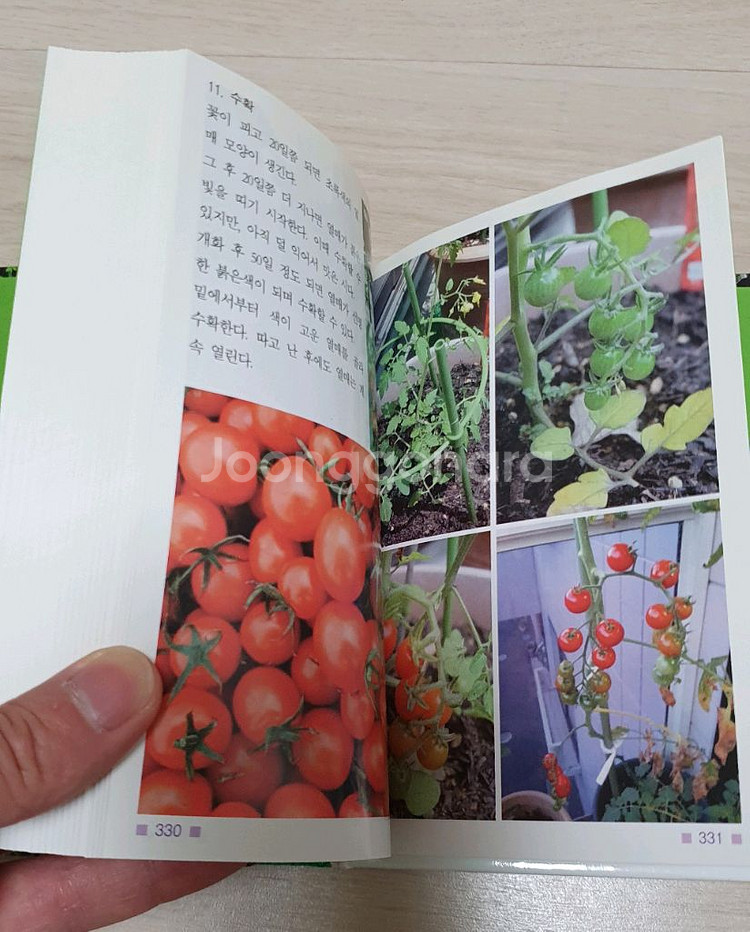 한국의 텃밭.한국의 약초 정가4만--5