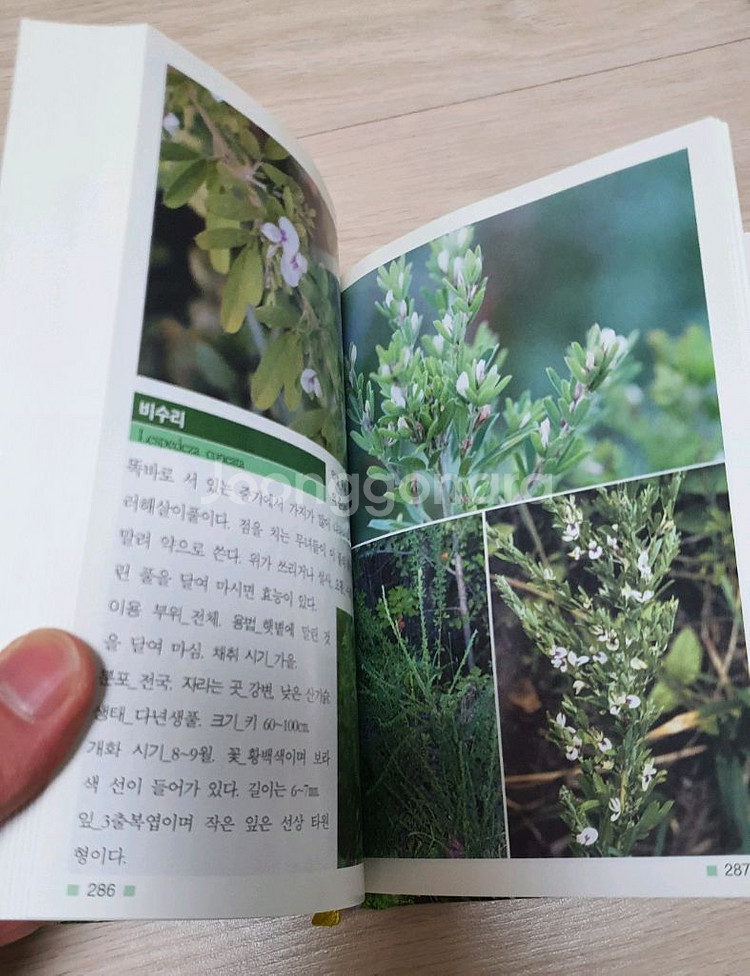 한국의 텃밭.한국의 약초 정가4만--8