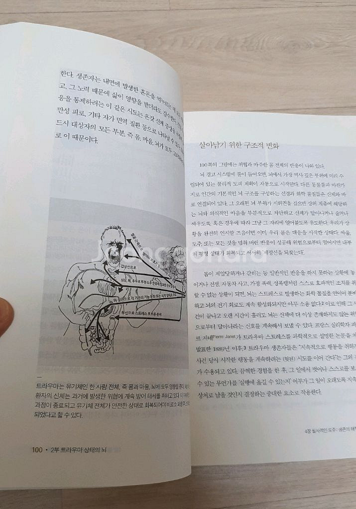 몸은 기억한다. 트라우마가 남긴 흔적들--8