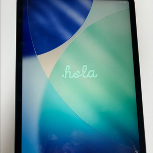 아이패드 프로 m1 11인치 256gb wifi 스페이