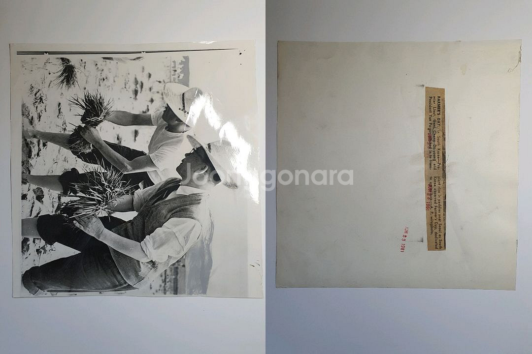 1960년대초 4.19 5.16 한국 정치사 외신 사진--4