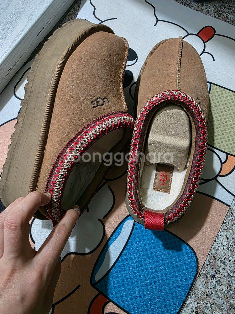 ugg 어그타스만--4