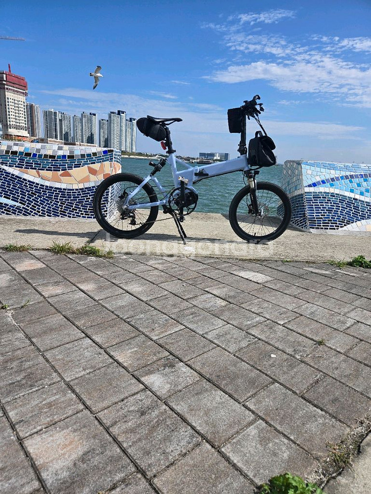 벨로스타 U22이하츠 36V25ah 급매--0