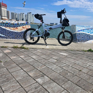 벨로스타 U22이하츠 36V25ah 급매