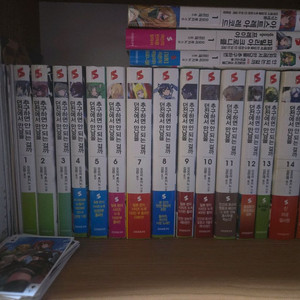 던전에서 만남을 추구하면 안 되는 걸까 던만추 라노벨