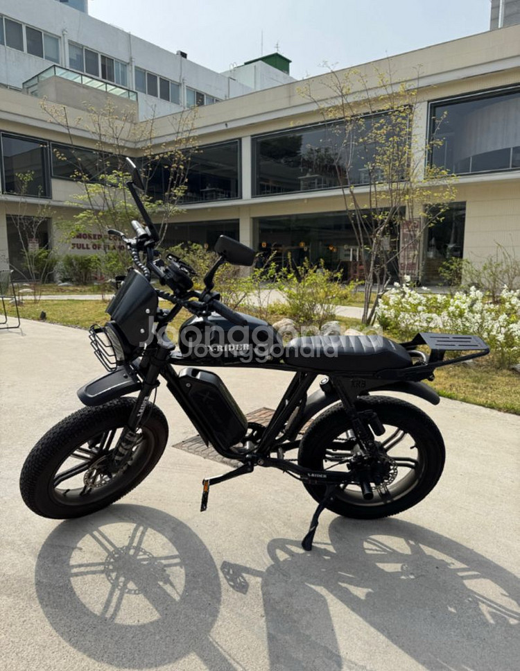 풀튜닝 엑스라이더 X200 전기자전거 자토바이 프로X--0