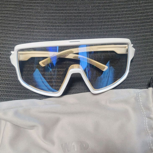 wtd데이브레이크변색고글