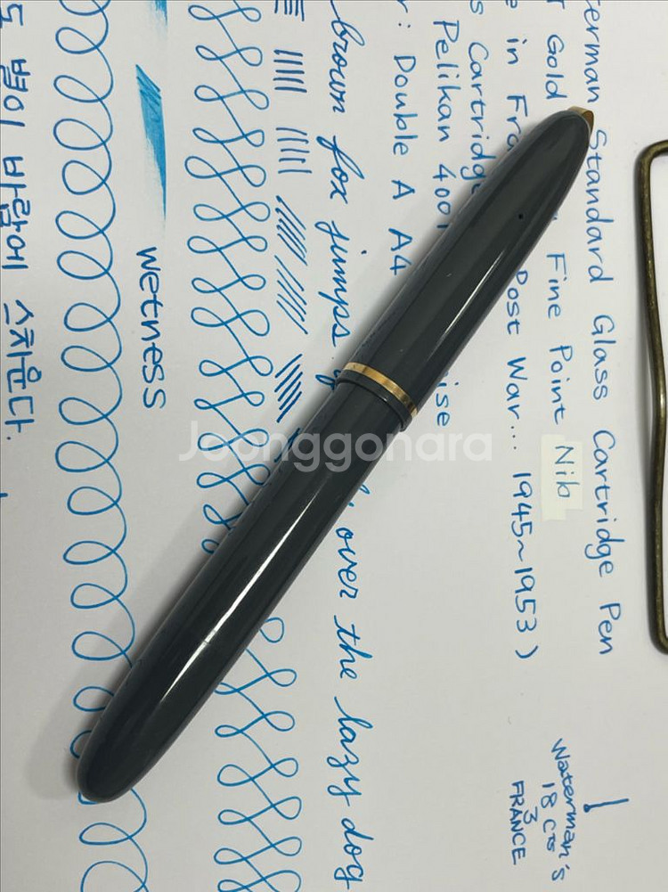 워터맨 만년필 스탠다드 글래스 카트리지 펜 18K EF--1