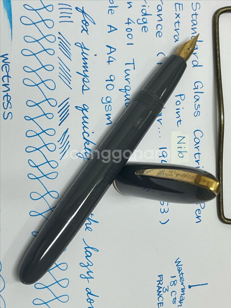 워터맨 만년필 스탠다드 글래스 카트리지 펜 18K EF--3