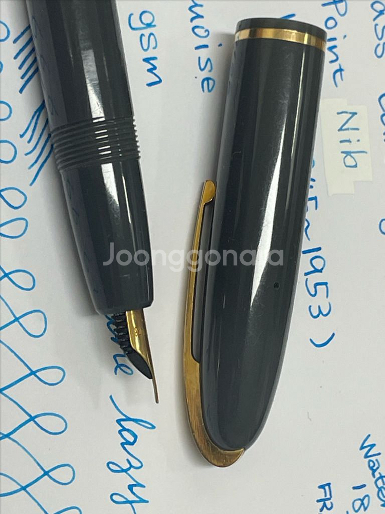 워터맨 만년필 스탠다드 글래스 카트리지 펜 18K EF--5