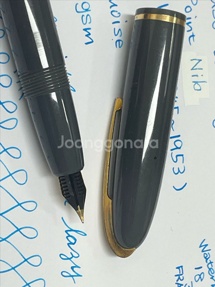 워터맨 만년필 스탠다드 글래스 카트리지 펜 18K EF--6