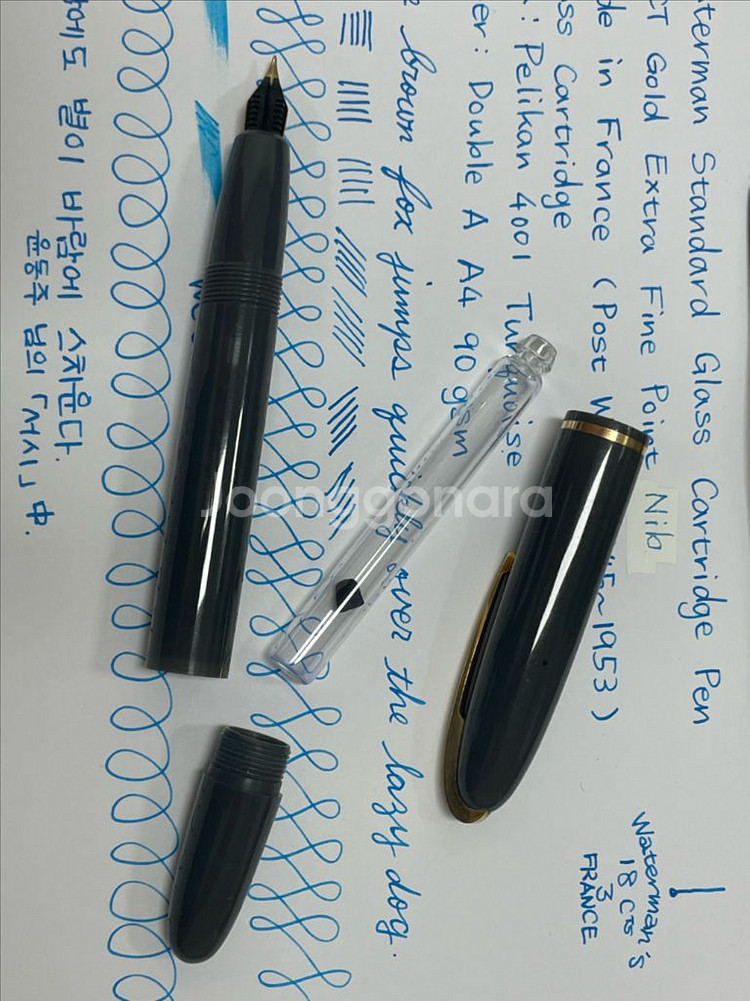 워터맨 만년필 스탠다드 글래스 카트리지 펜 18K EF--8