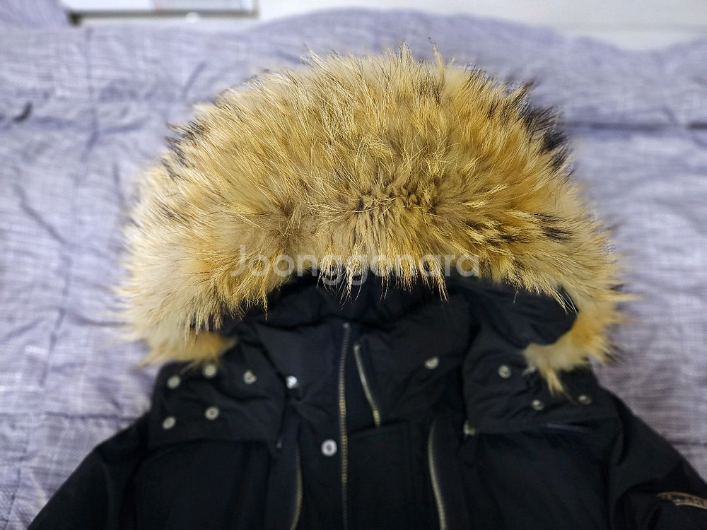 디스퀘어드 지퍼패딩--1