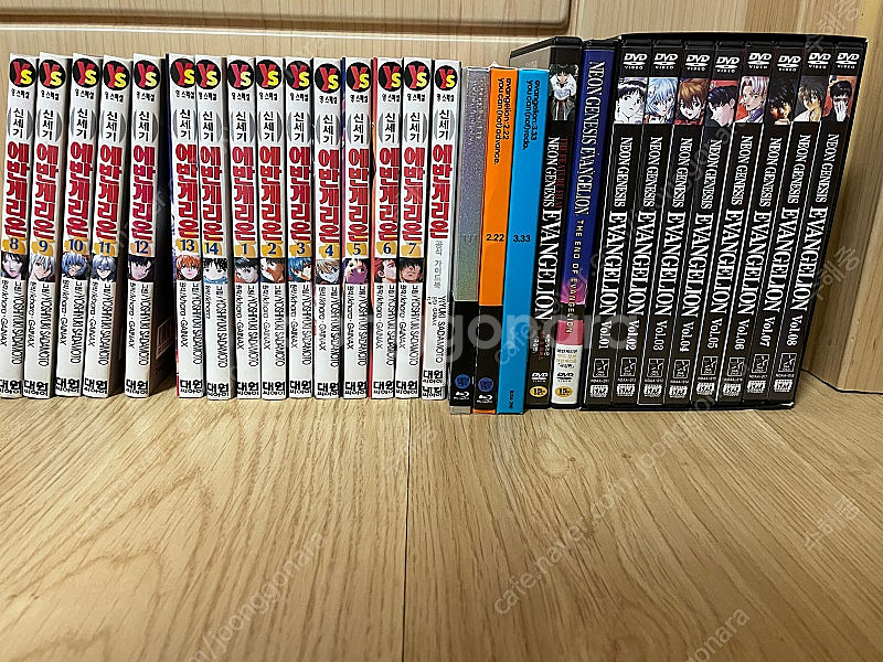 에반게리온 DVD세트 + 만화 1-14권+가이드북 팜--0