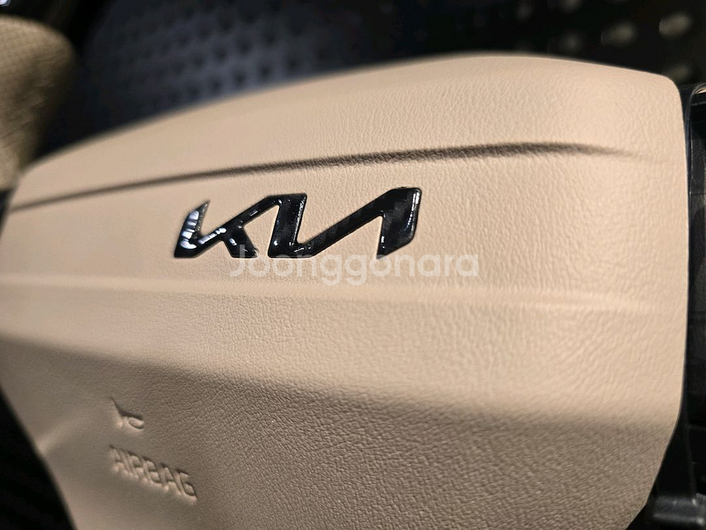 카니발 페이스리프트 신품 d컷 커스텀핸들 미사용--1