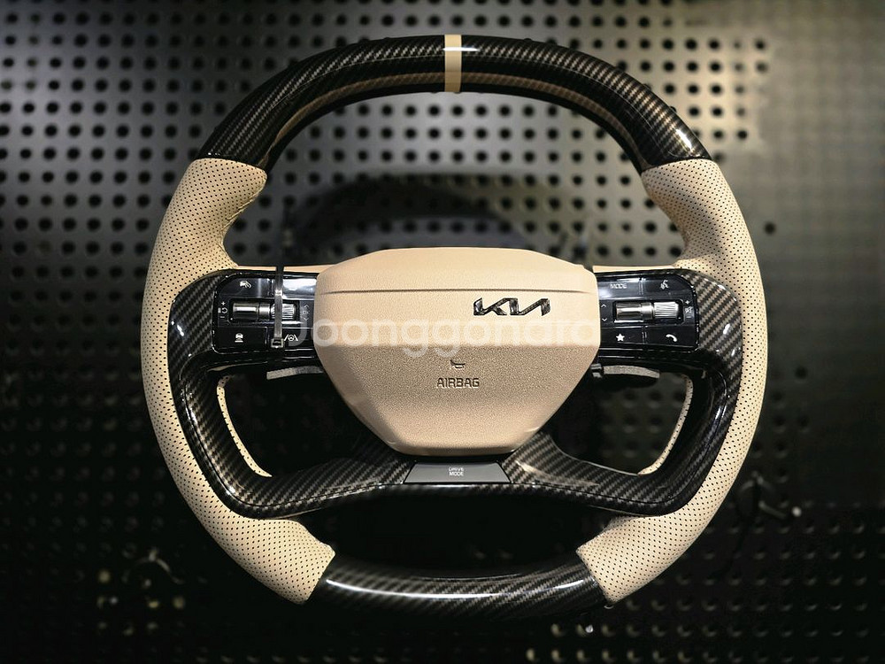 카니발 페이스리프트 신품 d컷 커스텀핸들 미사용--0