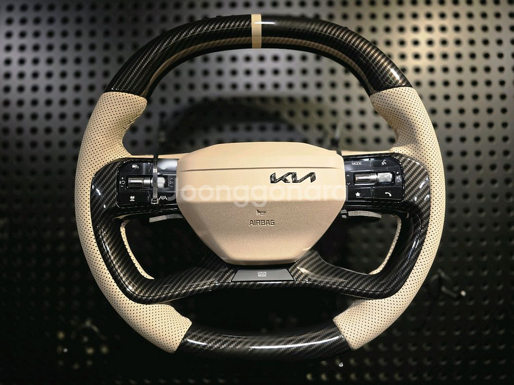 카니발 페이스리프트 신품 d컷 커스텀핸들 미사용--7