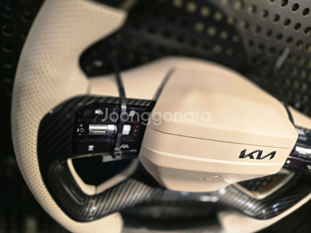 카니발 페이스리프트 신품 d컷 커스텀핸들 미사용--3