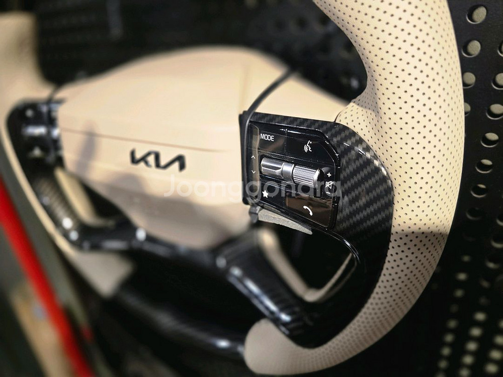 카니발 페이스리프트 신품 d컷 커스텀핸들 미사용--2