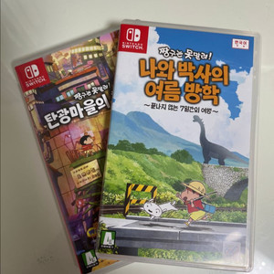 닌텐도 짱구 칩 팝니다