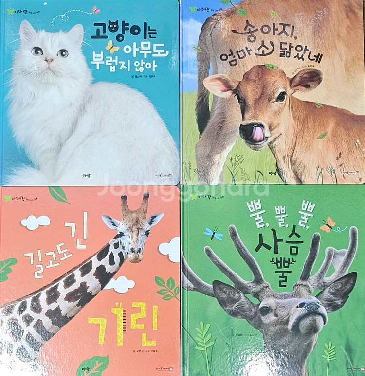 자연이랑--1