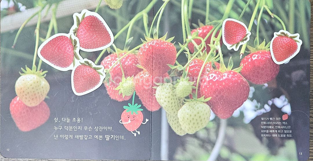 자연이랑--2
