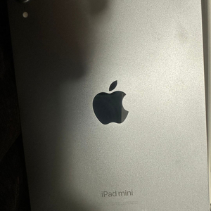 아이패드미니7 셀룰러 스페이스그레이 128gb +애케플