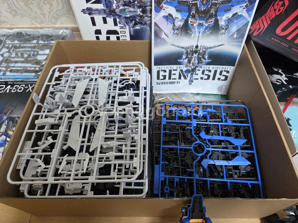 중국프라 무한신성 제네시스, 하이누, 모동공간--3