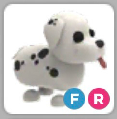 입양하세요 달마시안 (FR)--0