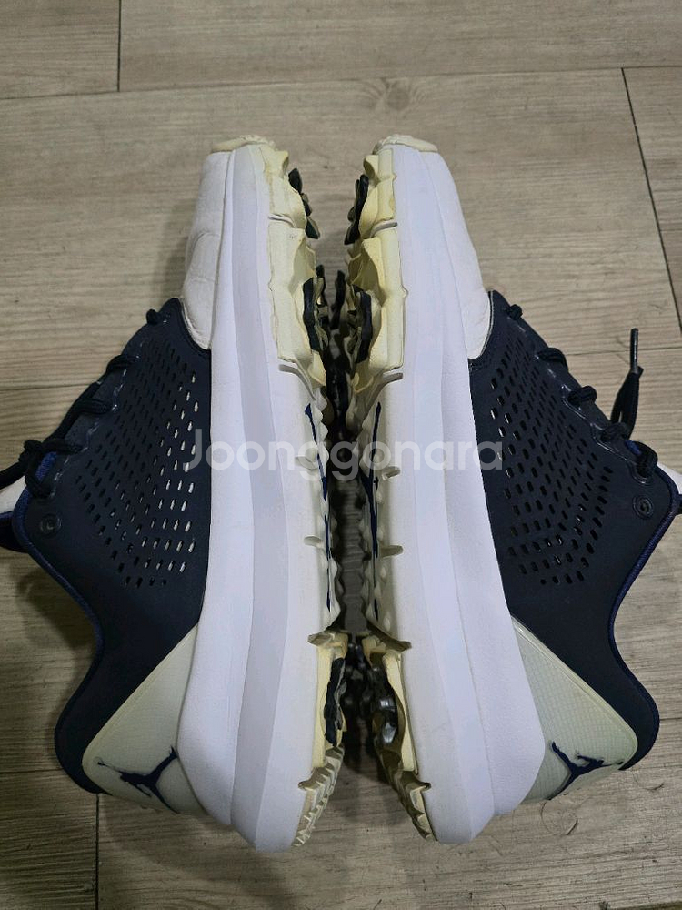 나이키 조던 트레이너 ST G 옵시디언 골프화 270m--5