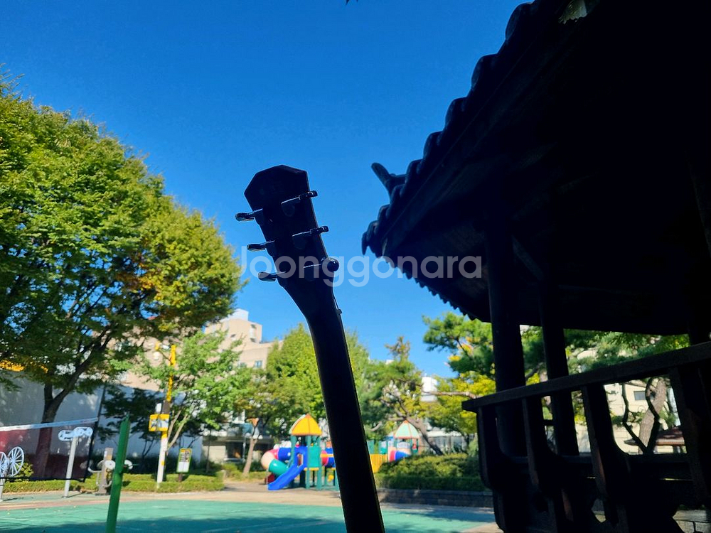 입문용 통기타 인기제품 데임 유리상자 이세준 기타 판매--3