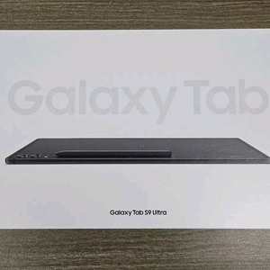 갤럭시탭S9 울트라 와이파이 256GB
