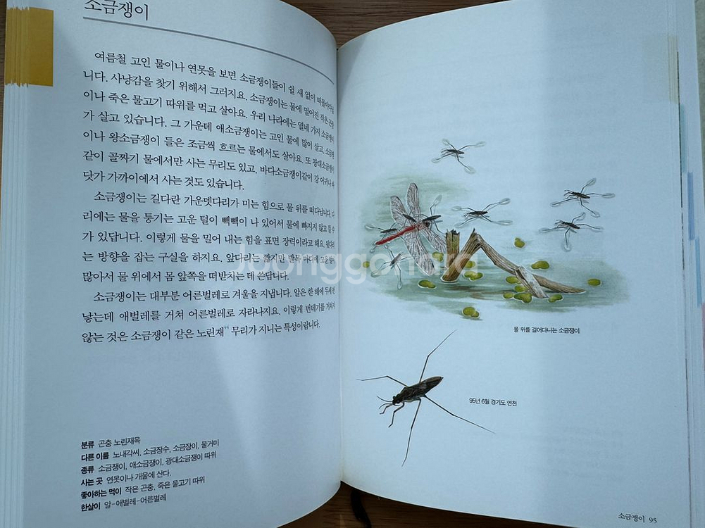 보리 어린이 동물도감--1