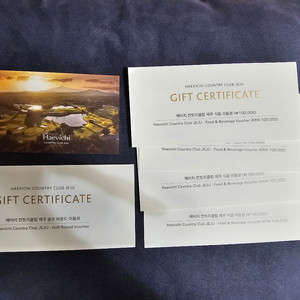 제주 해비치CC 그린피 카트 식음료권