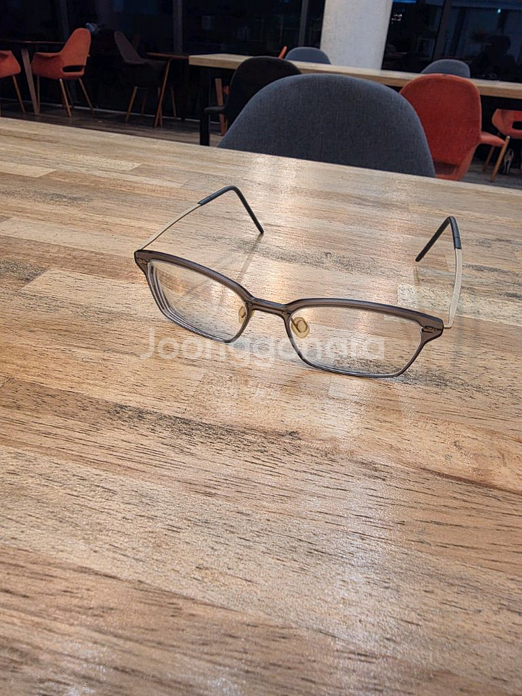 MARKUS T P1 012 MIO 618/390안경테--2