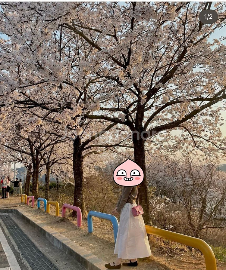 샤넬 쁘띠삭 미니 핑크--1