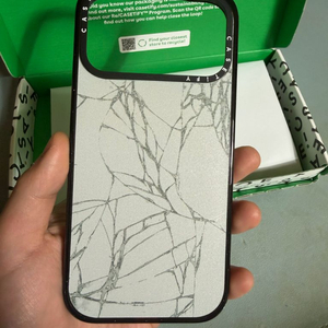 17 프로맥스 캐이스티파이 새상품급