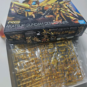 rg 아카츠키 미개봉