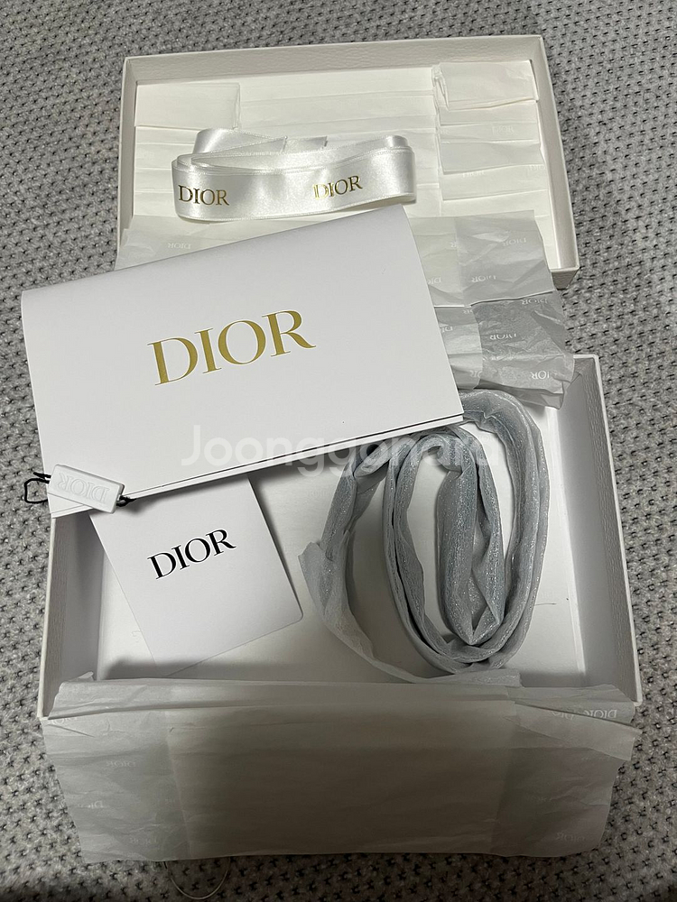 디올 오블리크 새들 벨트 파우치--5