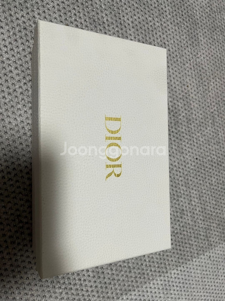 디올 오블리크 새들 벨트 파우치--8