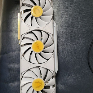 조탁 rtx3080 10g
