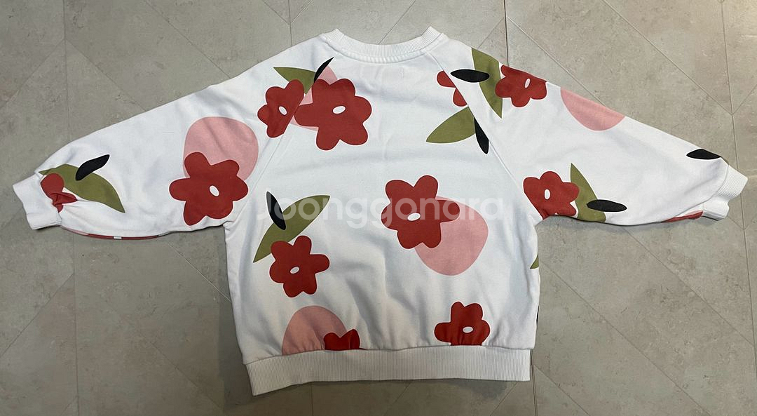 로아앤제인 120--5