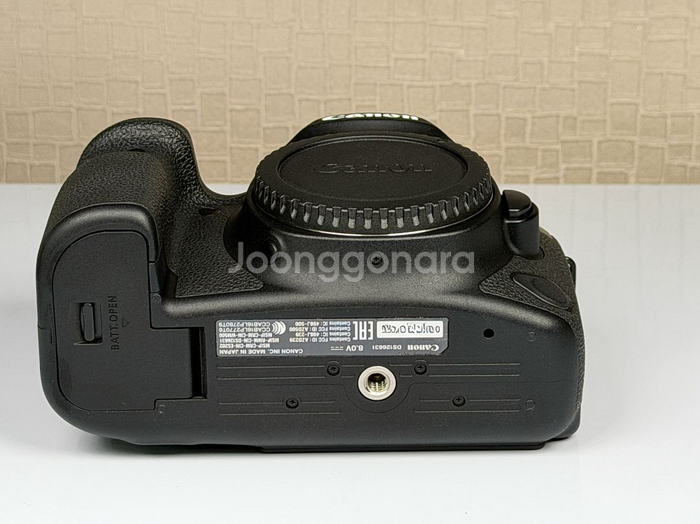 캐논 EOS 6D Mark2 DSLR, 육두막--5