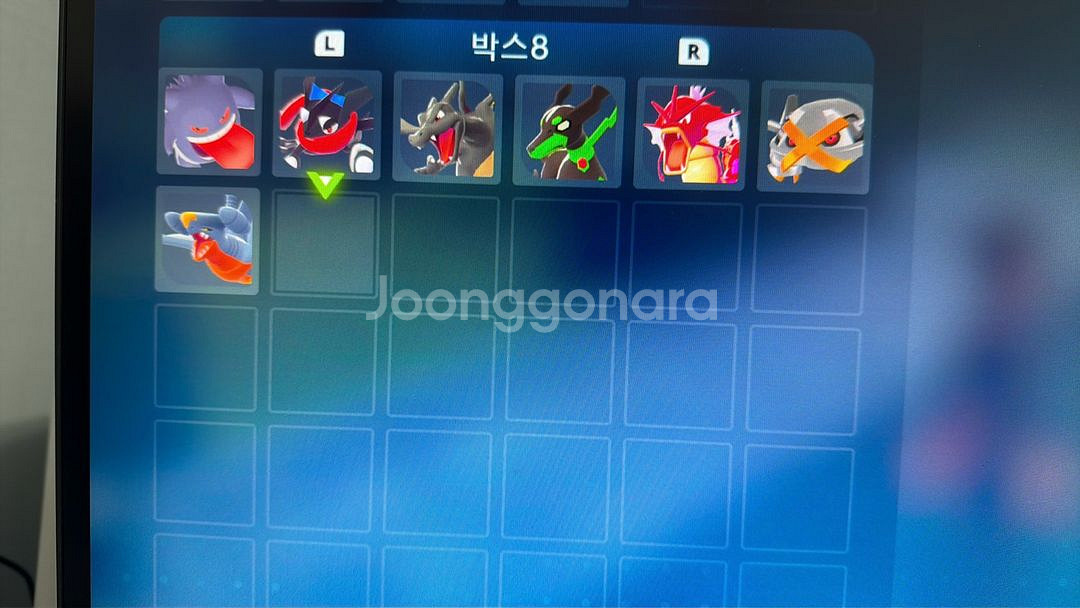 포켓몬 레전드za 이로치 우두로치 6V 원하는 모든가능--0