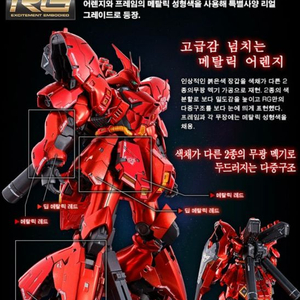 클럽g 한정판 RG사자비 클리어