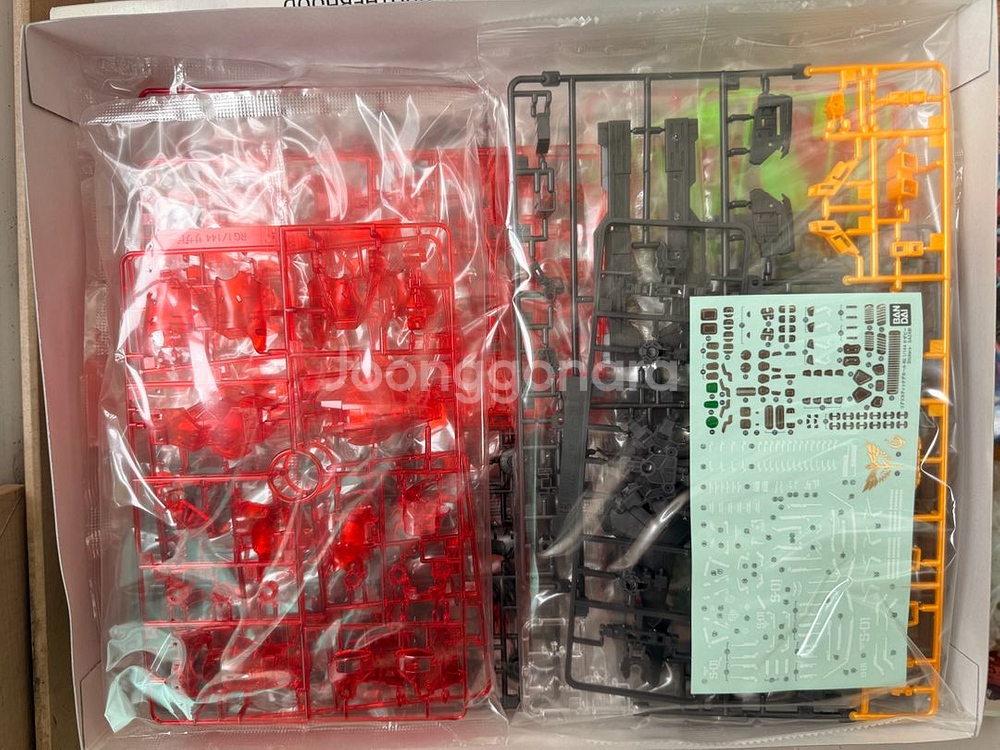 클럽g 한정판 RG사자비 클리어--2