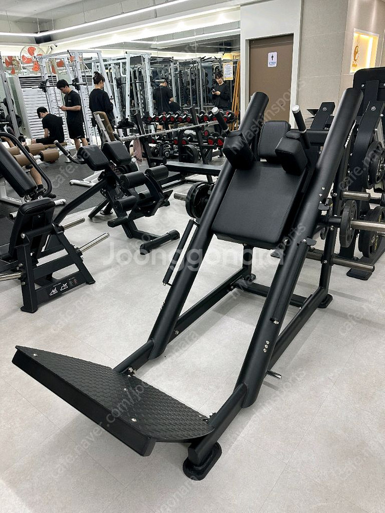 뉴텍 로버스트 다이나포스 인사이트 등 중고 헬스 기구--2