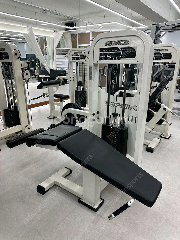 뉴텍 로버스트 다이나포스 인사이트 등 중고 헬스 기구--8